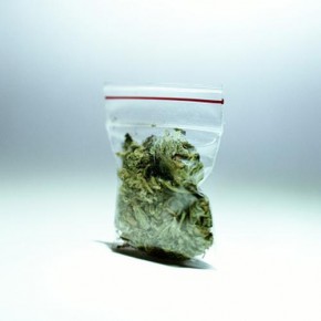 Stricter Controls Needed after Surge in Marijuana Ills: U.S. Anti-Pot Group Stricter Controls Needed after Surge in Marijuana Ills: U.S. Anti-Pot Group