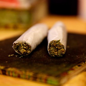 Has Marijuana Legalization Been a Failure? Project SAM Says so in New Report Has Marijuana Legalization Been a Failure? Project SAM Says so in New Report