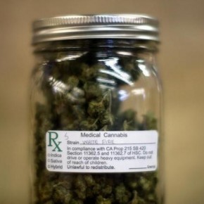 U.S. Anti-Legalization Group Urges More Access to Marijuana Research U.S. Anti-Legalization Group Urges More Access to Marijuana Research