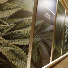 First medical marijuana dispensaries open in New York First medical marijuana dispensaries open in New York