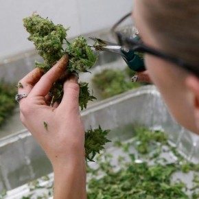 Facebook Confirms State-Legal Pot Businesses Risk Deletion Facebook Confirms State-Legal Pot Businesses Risk Deletion