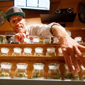Pot use doubled as laws slackened – even before all out legalization Pot use doubled as laws slackened – even before all out legalization