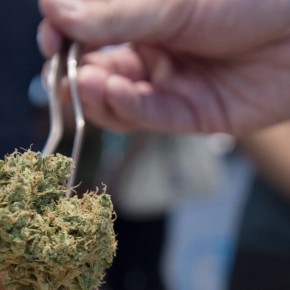 The Wrong Way to Legalize Marijuana? The Wrong Way to Legalize Marijuana?