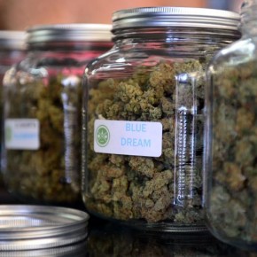 Ohio Marijuana Legalization 2015: Voters Reject Recreational, Medical Cannabis Initiative Ohio Marijuana Legalization 2015: Voters Reject Recreational, Medical Cannabis Initiative